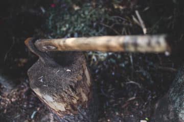 Axe in the top of a freshly razed tree stump.