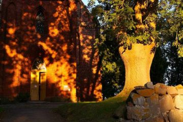 Brick church beside large tree.