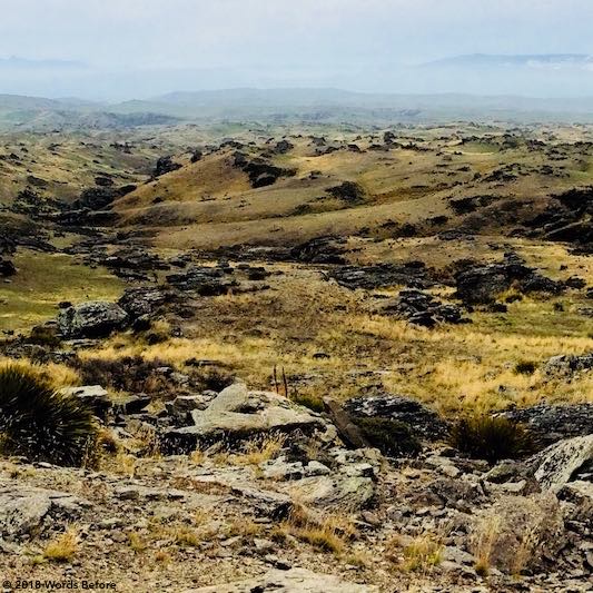 Central Otago high country.