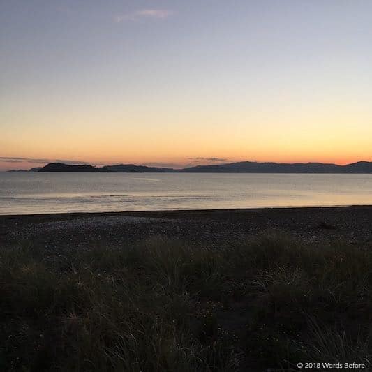Wellington Harbour, calm and still.